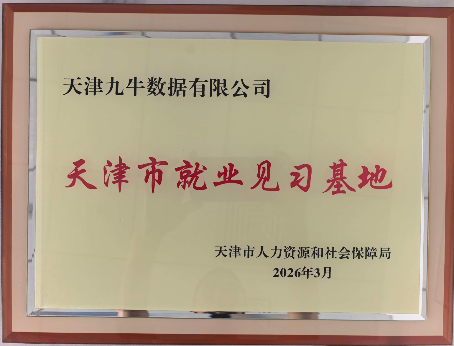 天津九牛数据有限公司天津市就业见习基地牌匾实拍，天津市人力资源和社会保障局2026年3月颁发，红棕色木框配银色金属边框